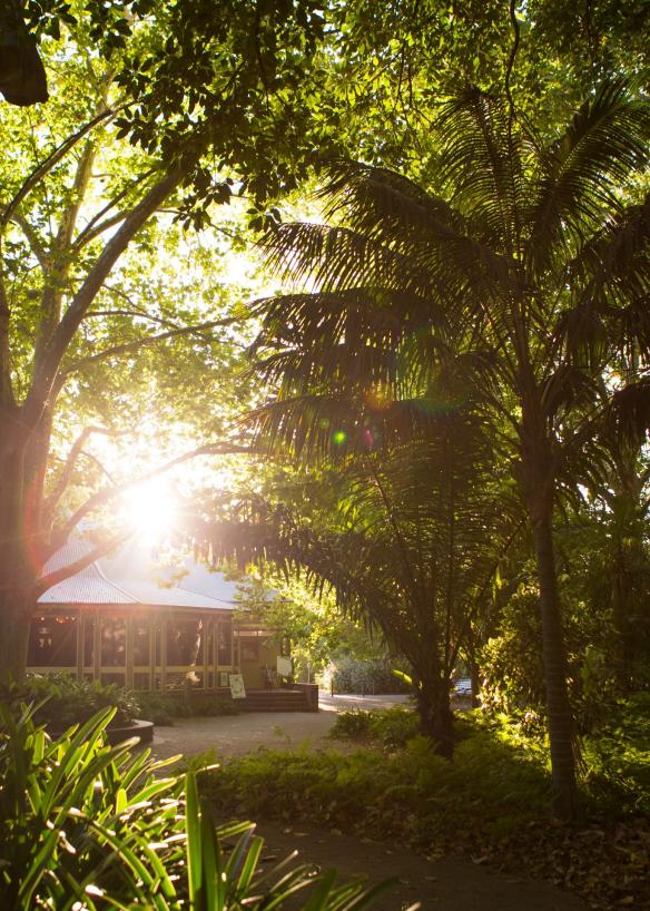 Giardino all'esterno del Restaurant Botanic, Adelaide, South Australia © Blanco Horner