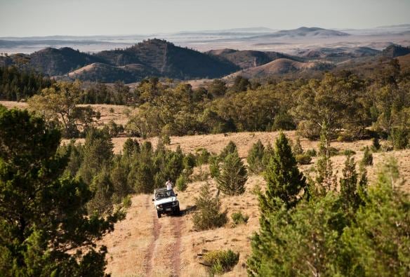 Due persone che fanno un safari in fuoristrada tra le distese erbose e gli alberi dell'Arkaba Conservancy, Flinders Ranges, South Australia © South Australian Tourism Commission