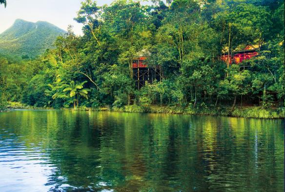 Vista del Silky Oaks Lodge affacciato sul Mossman Gorge River tra gli alberi della Daintree Rainforest, Queensland © Silky Oaks Lodge