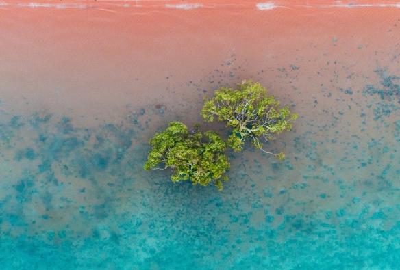 Vista dall'alto delle azzurre acque del Mar dei Coralli accanto a una spiaggia di sabbia rossa a Roebuck Bay, Broome, Western Australia © Tourism Australia