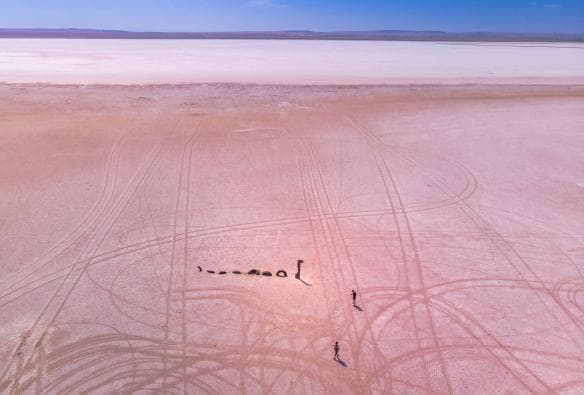 Vista aerea di persone in piedi accanto a una statua di un mostro marino sul fondo rosa in secca di Lake Bumbunga, Clare Valley, South Australia © Karen Smith