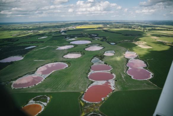 Vista aerea da un volo panoramico sopra un gruppo di laghi rosa e arcobaleno disseminati tra pascoli erbosi nel Golden Outback, Western Australia © Golden Outback