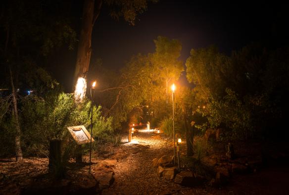 Due gruppi di persone sedute ai tavoli intorno a un falò che cenano sotto le stelle in mezzo agli alberi durante l'esperienza Under a Desert Moon al Kings Canyon, Northern Territory © Tourism NT/Matt Glastonbury