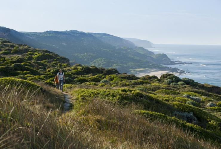 Coppia che cammina sulla Great Ocean Walk, Victoria © Visit Victoria/Mark Watson