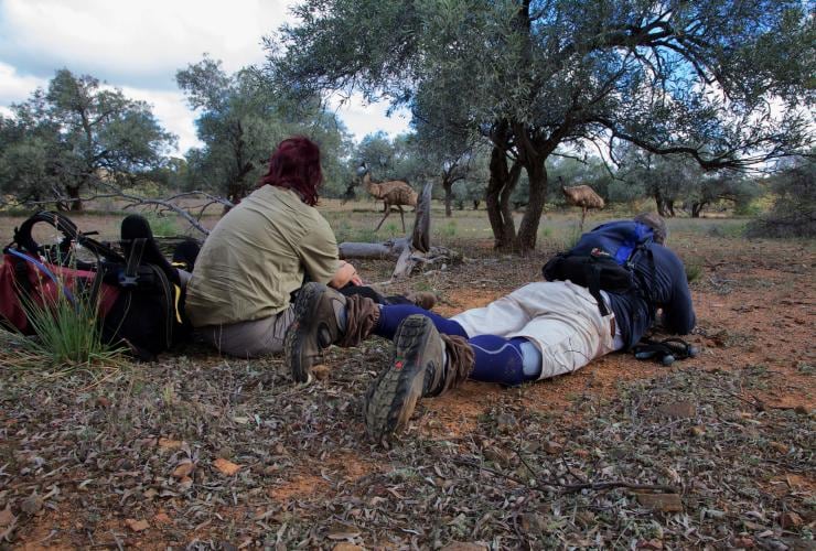 Due persone accovacciate a terra che fotografano echidne nel loro habitat naturale durante la The Arkaba Walk, Flinders Ranges, South Australia © Richard Field 