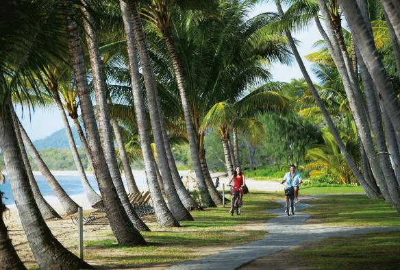 Due persone in bicicletta lungo un sentiero costiero fiancheggiato da palme, Cairns, Queensland © Tourism and Events Queensland
