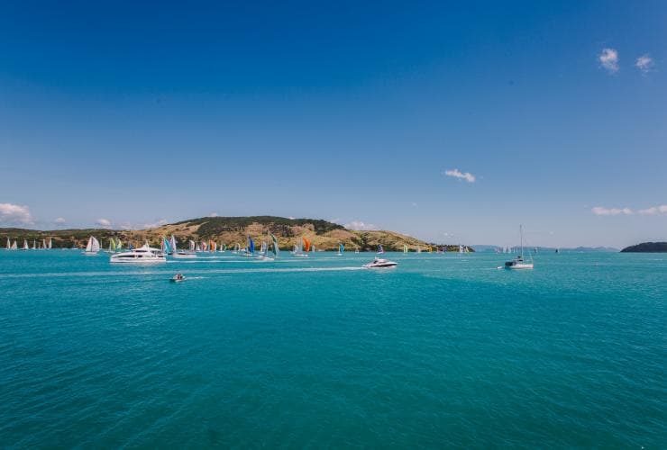 クイーンズランド州、ハミルトン島、ハミルトン島レース・ウィーク。ターコイズブルーの海に多数のカラフルなヨットが浮かび、遠くに島が見える © Tourism Australia