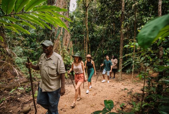 クイーンズランド州、デインツリー・レインフォレスト、モスマン渓谷センター © Tourism and Events Queensland