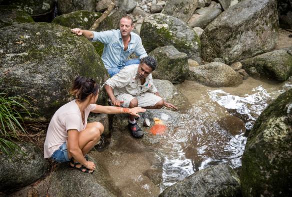 クイーンズランド州、デインツリー・レインフォレスト、モスマン渓谷カルチャー・センター、ヴォヤジーズ © Tourism Australia