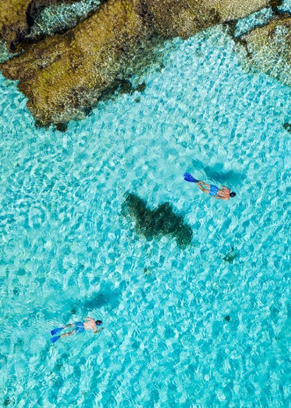 西オーストラリア州、ロットネスト島、リトル・サーモン・ベイでシュノーケリング © Tourism Australia