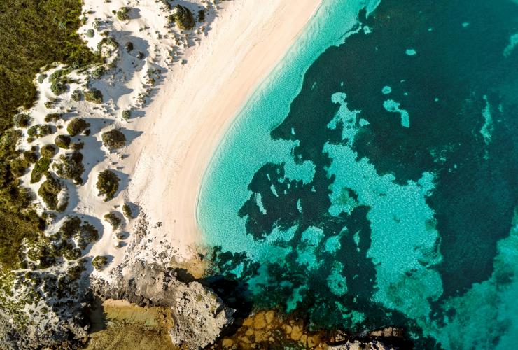 西オーストラリア州、パース、ロットネスト島 © Georges Antoni