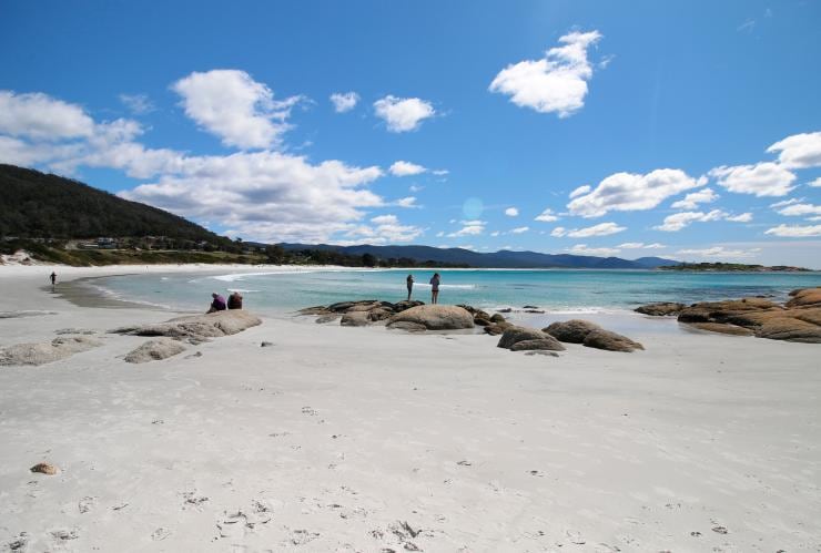 タスマニア州、ビチェノ、ワウウズ・ベイ・ビーチ © Kathryn Leahy/Tourism Tasmania