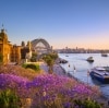 ニュー・サウス・ウェールズ州、シドニー、ジャガランダと日没時のシドニー・ハーバー © Destination NSW