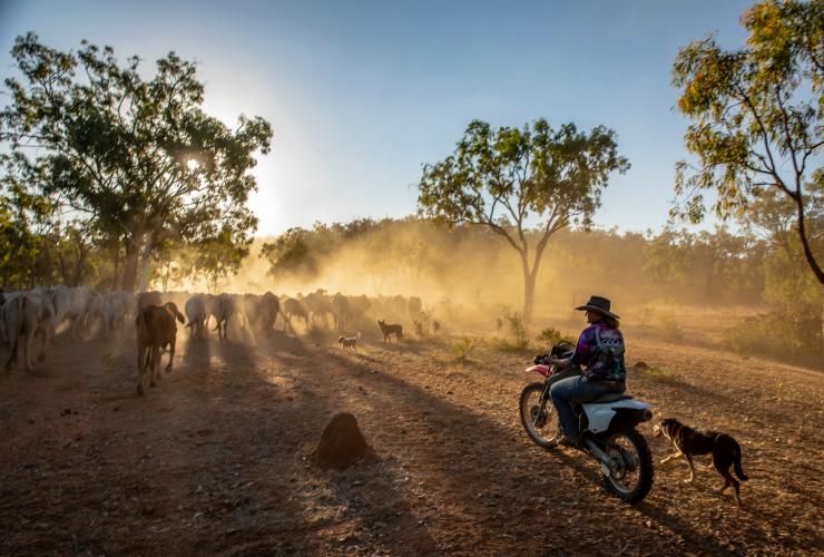 クイーンズランド州、ギルバート・リバー、ギルバートン・アウトバック・リトリート © Tourism and Events Queensland