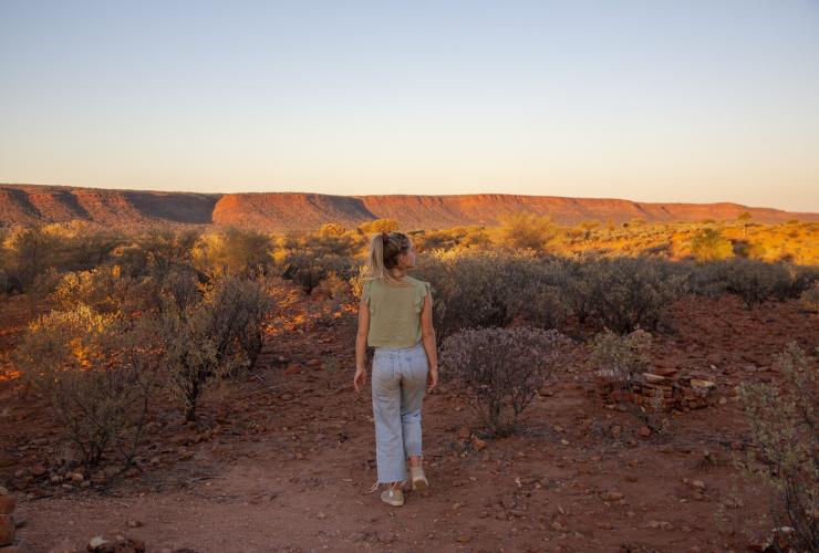 ノーザンテリトリー、キングス・キャニオン、キングス・クリーク・ステーション © Tourism Australia