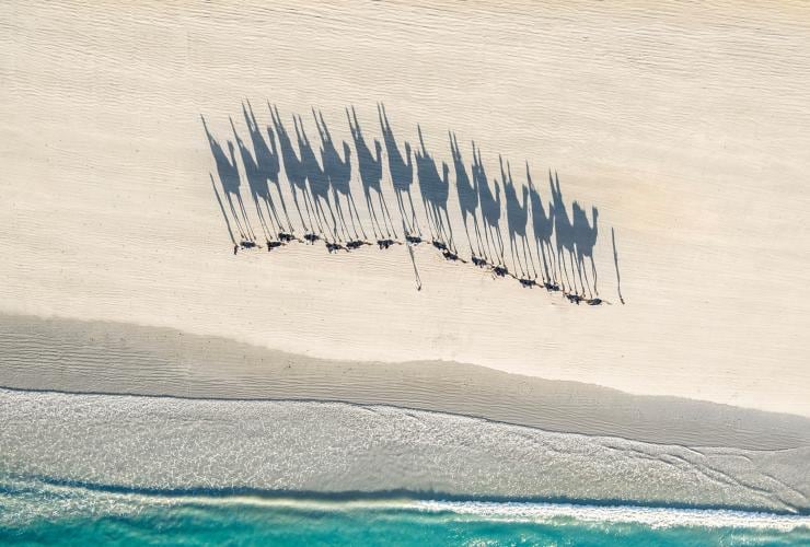西オーストラリア州、ブルーム、ケーブル・ビーチ © Tourism Australia
