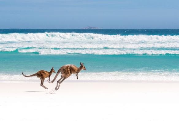 西オーストラリア州、エスペランス、ケープ・ル・グラン国立公園、ラッキー・ベイ © Tourism Australia