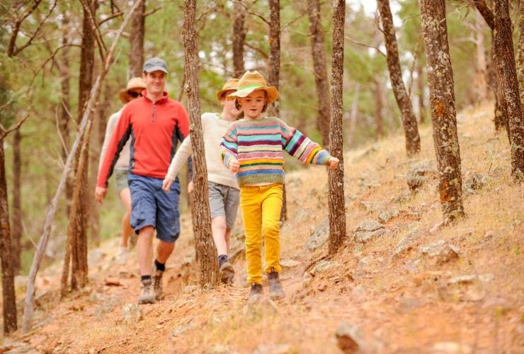 南オーストラリア州、ホーカー、ローンズリー・パーク・ステーションの木々の間を歩く家族 © South Australian Tourism Commission