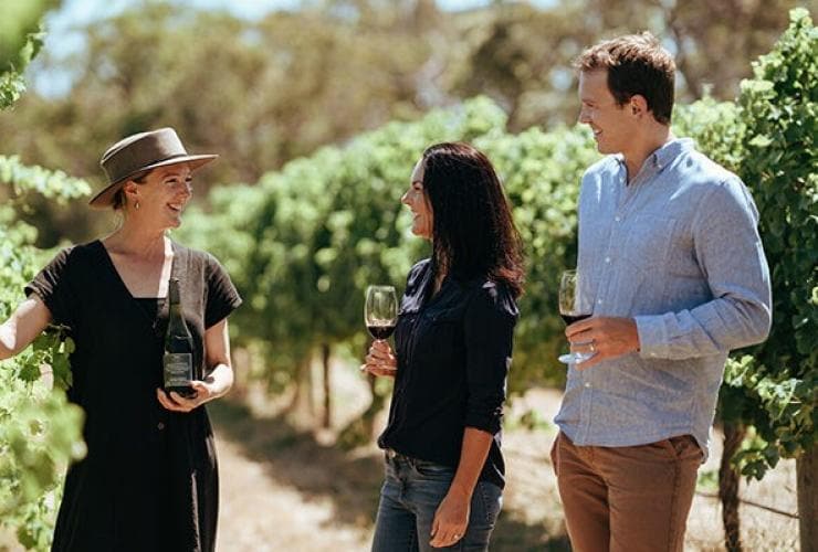 西オーストラリア州、マーガレット・リバー、ケープ・ロッジ、ヴィンヤードで赤ワインを飲む2人とガイド © Cape Lodge