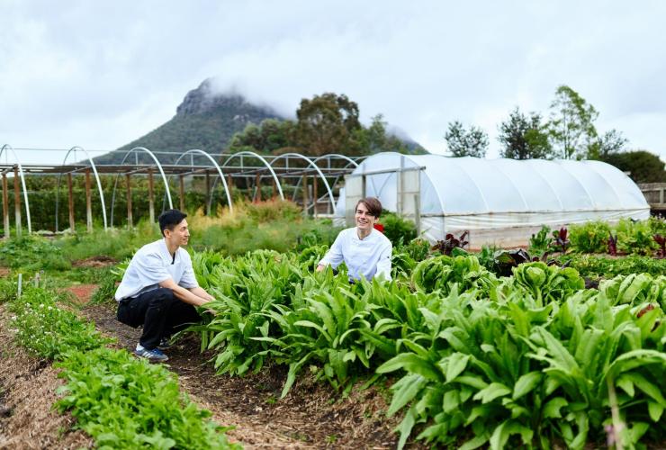 ビクトリア州、グランピアンズ、ロイヤル・メイル・ホテル、菜園から自家栽培している食材を収穫する2人のシェフ © Tourism Australia