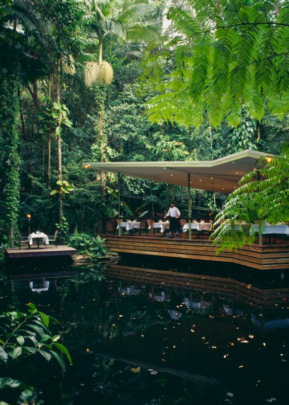 クイーンズランド州、デインツリー、デインツリー・エコ・ロッジ＆スパ、ジュラインバ・レストラン © Tourism Australia