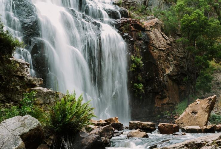 ビクトリア州、グランピアンズ国立公園、マッケンジー滝 © Visit Victoria