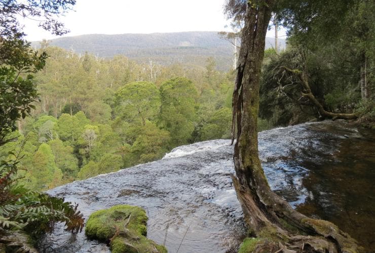 タスマニア州、フィールド山、フィールド山国立公園、ラッセル滝 © Tourism Tasmania/Kathryn Leahy