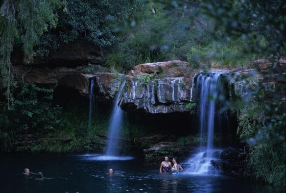 西オーストラリア州、カリジニ国立公園、ファーン・プール © Tourism Western Australia 