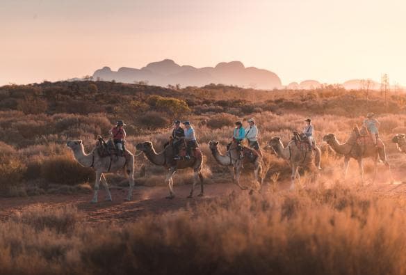 ノーザンテリトリー、ウルル、ウルル・キャメル・ツアーズ © Tourism NT/Nic Morley