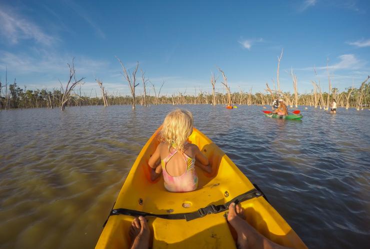 クイーンズランド州、ララ、ララ湿地 © Tourism and Events Queensland