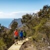 タスマニア州、タスマン半島、スリー・ケープス・シグネチャー・ウォーク © Tasmania Parks and Wildlife Service