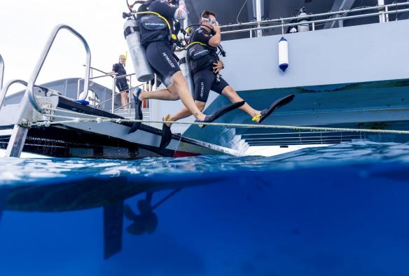 クイーンズランド州、グレート・バリア・リーフ、パッションズ・オブ・パラダイスにて、水に飛び込むスキューバダイバー © Tourism Australia