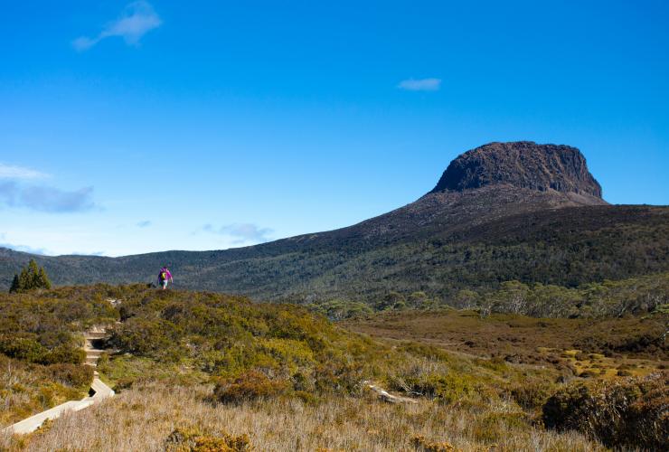 タスマニア州、バーン・ブラフ、クレイドル・マウンテン・シグネチャー・ウォーク © Tasmanian Walking Company/Great Walks of Australia