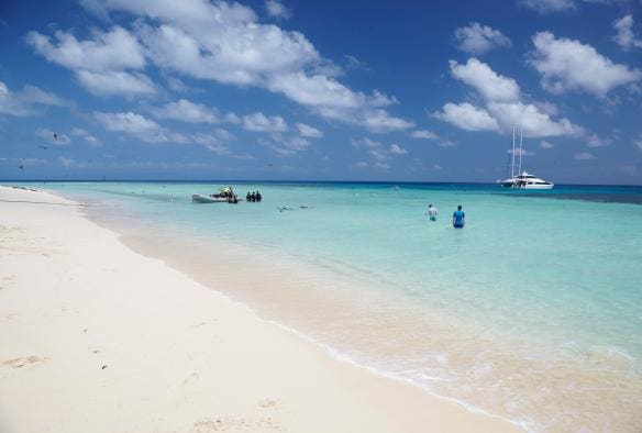 クイーンズランド州、グレート・バリア・リーフ、ミコマス・ケイ、砂州のそばのボート周辺の海で泳いだり立ったりしている人々のグループ、遠くには海鳥が飛んでいる © Tourism Australia