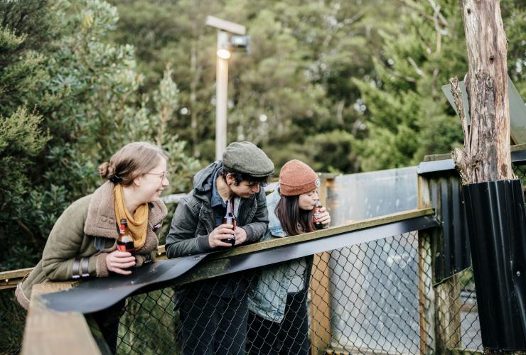 タスマニア州、クレイドル・マウンテン、デビルズ@クレイドルにて、タスマニアン・デビルを探す観光客 © Tourism Australia