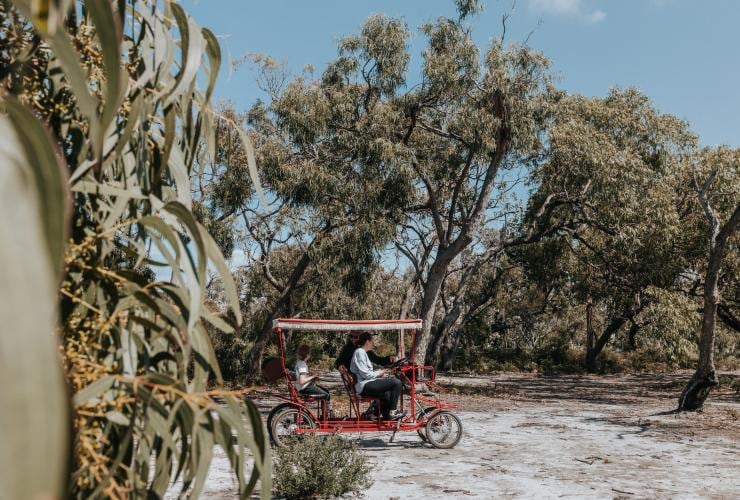 ビクトリア州、レイモンド島、ユーカリの木々の間を四輪自転車で走る旅行者 © everyday nicky
