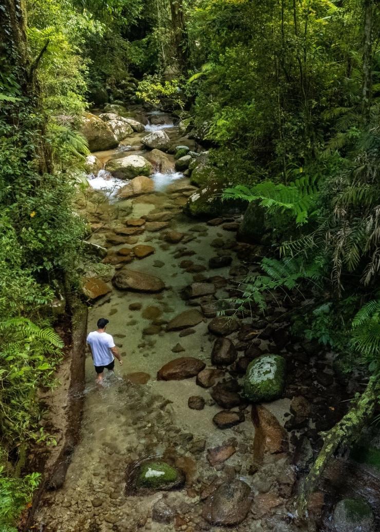 熱帯雨林に囲まれた透明な川の浅瀬を歩く人