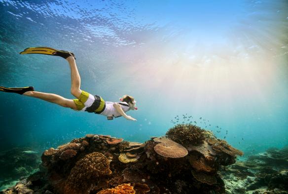 クイーンズランド州、グレート・バリア・リーフ、レディー・エリオット島、シュノーケルとフィンをつけてサンゴ礁の上を泳ぐ男性 © Darren Jew