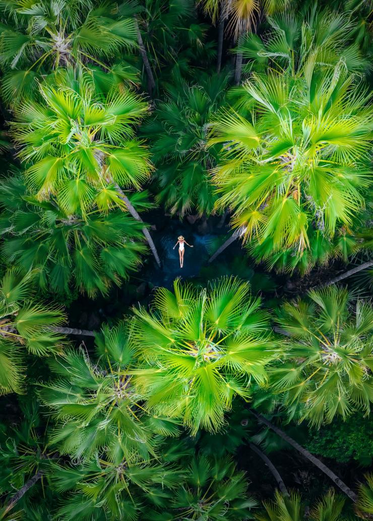 제버디 스프링스, 엘 퀘스트로 야생공원, 킴벌리, 서호주 © 호주정부관광청