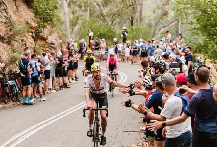 Santos Tour Down Under, Adelaide, SA © Meaghan Coles