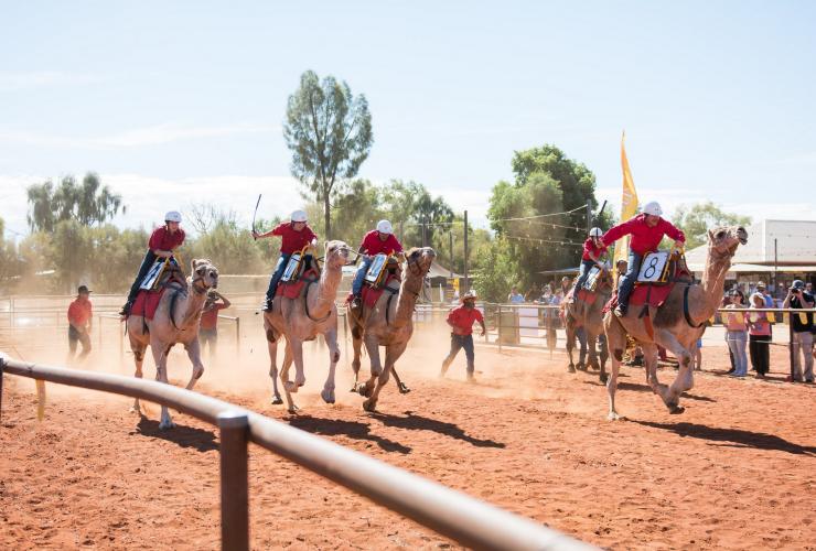 Uluru Camel Cup Race, Northern Territory © Uluru Camel Tours