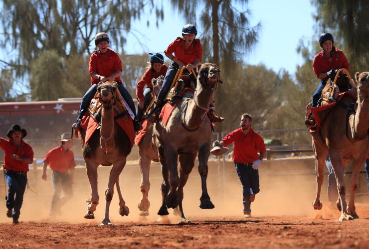 Uluru Camel Cup, Yulara, NT © Damien Hill / Uluru Photography