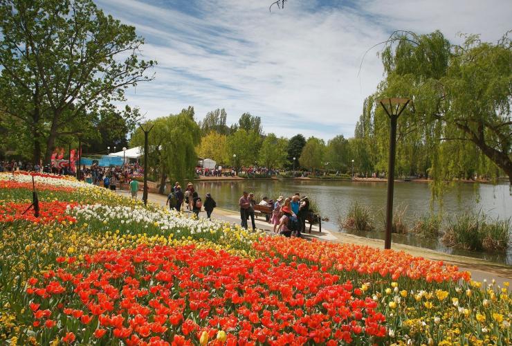 Một ngọn đồi phủ đầy hoa được chăm chút công phu trải dài về phía hồ nước yên ả tại Lễ hội hoa Floriade, Canberra, Lãnh thổ Thủ đô Úc © Floriade Australia