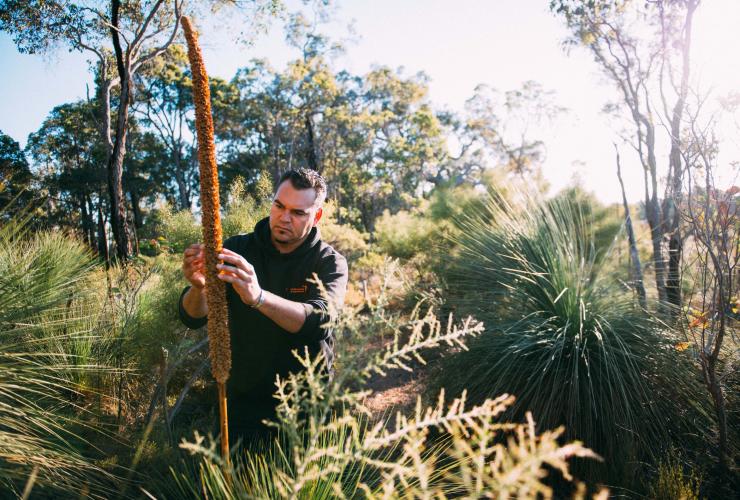 Koomal Dreaming, vùng Margaret River, Tây Úc © Koomal Dreaming
