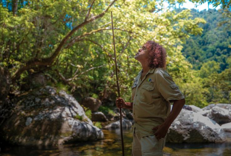 Trung tâm Hẻm núi Mossman, Rừng mưa nhiệt đới Daintree, Queensland © Tourism and Events Queensland