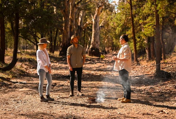 Wilpena Pound Resort, Flinders Ranges, South Australia © Tourism Australia