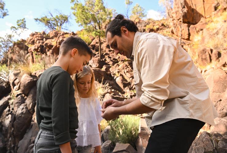 Wilpena Pound Resort, Flinders Ranges, South Australia © Tourism Australia