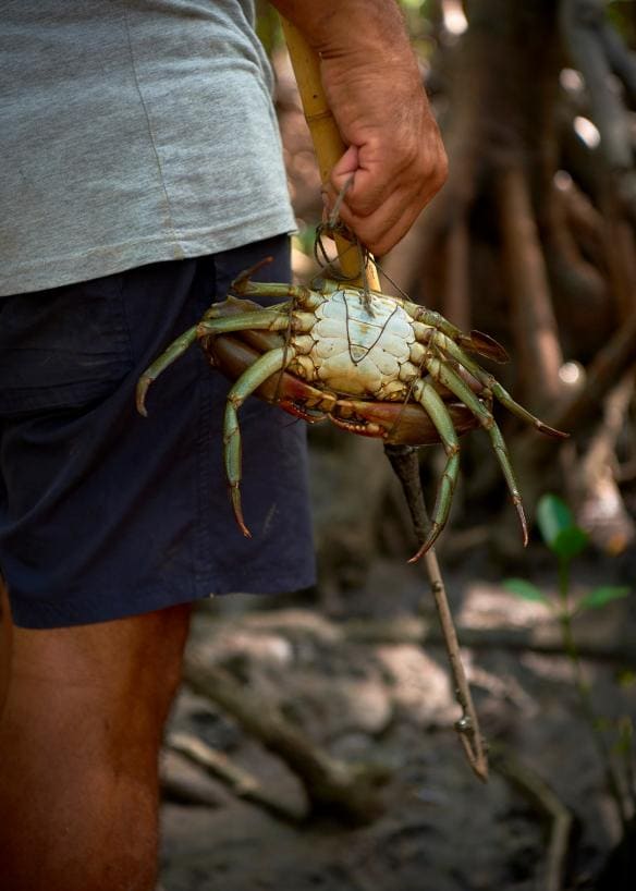 Walkabout Cultural Adventures, Bãi biển Cooya, Tiểu bang Queensland © Tourism and Events Queensland