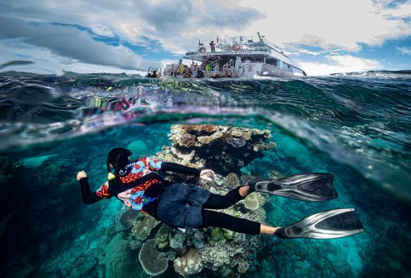 Dreamtime Dive and Snorkel, Thành phố Cairns, Tiểu bang Queensland © Archie Sartracom