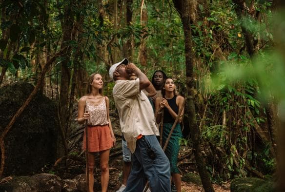 Mossman Gorge Centre, Daintree Rainforest, Queensland © Tourism and Events Queensland